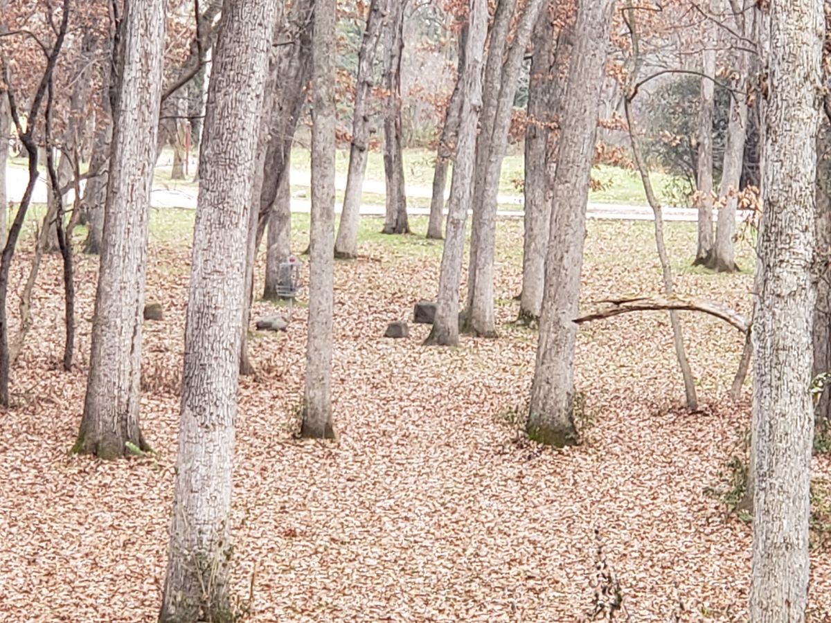 Hole 18