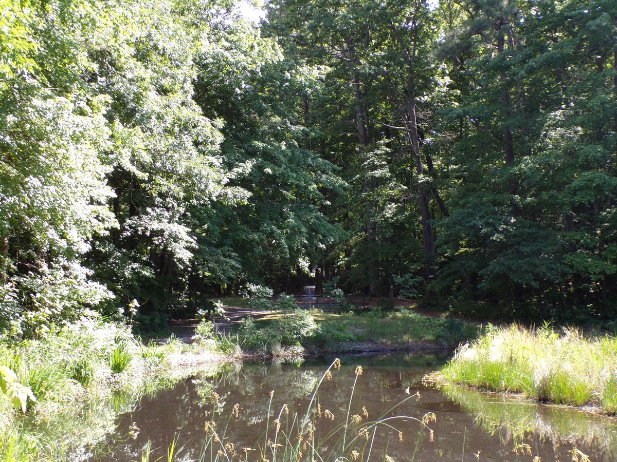 A view of the shared basket of hole 8 and 16 from 16's tee pad.