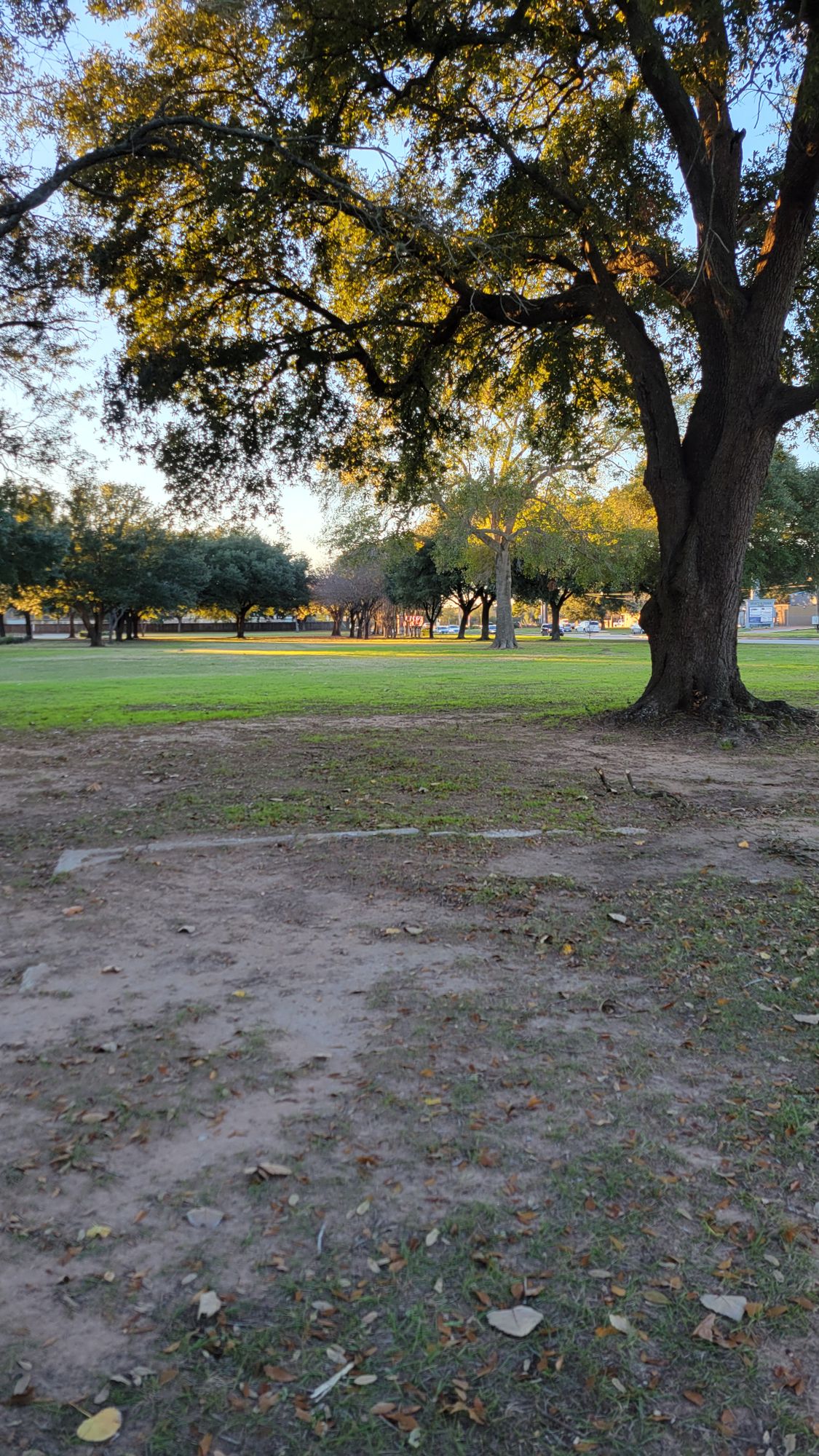 Hole 4