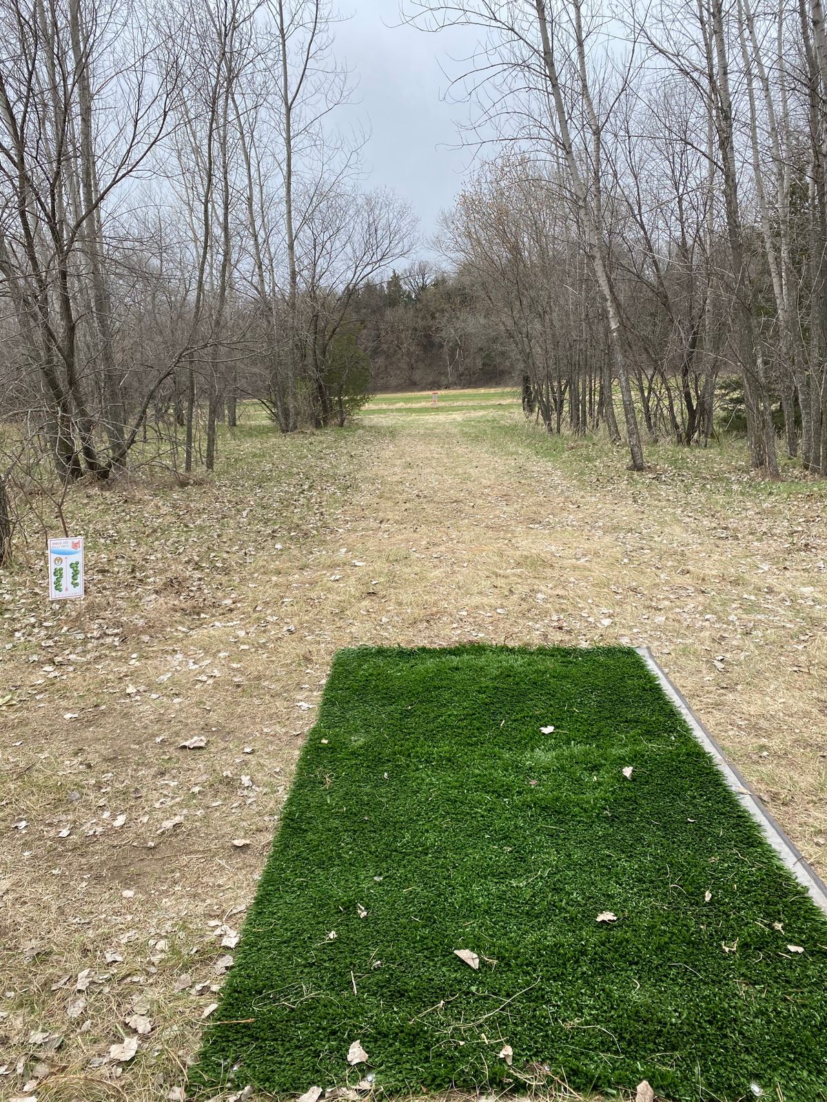 Hole 11 (April 2021)