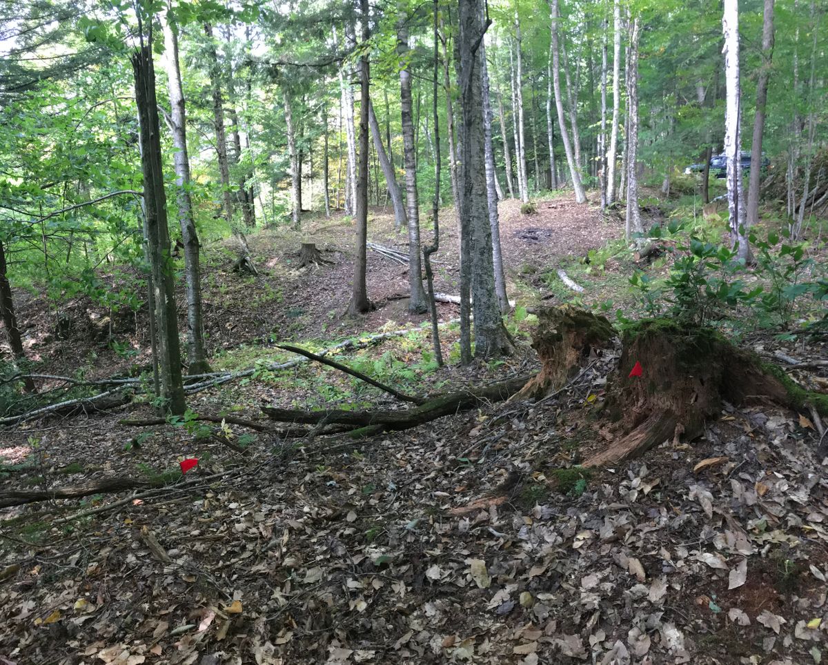 Hole 18 short tees