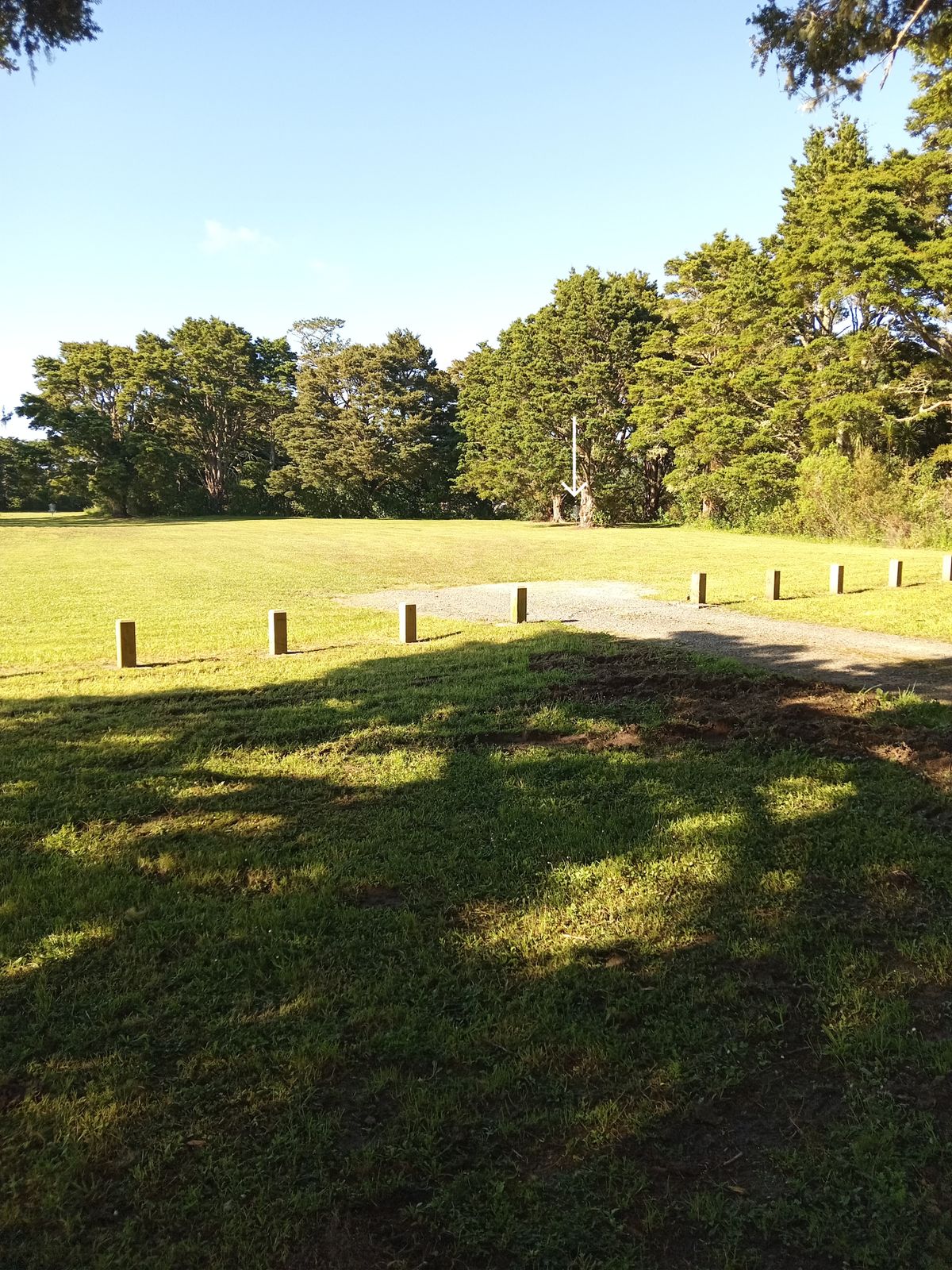 Hole 1, basket tucked behind a tree