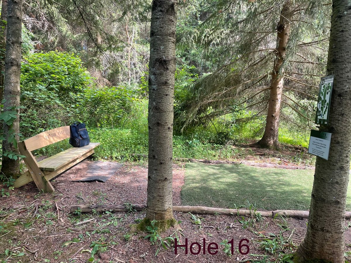 Hole 16, Blue (long) tee area.