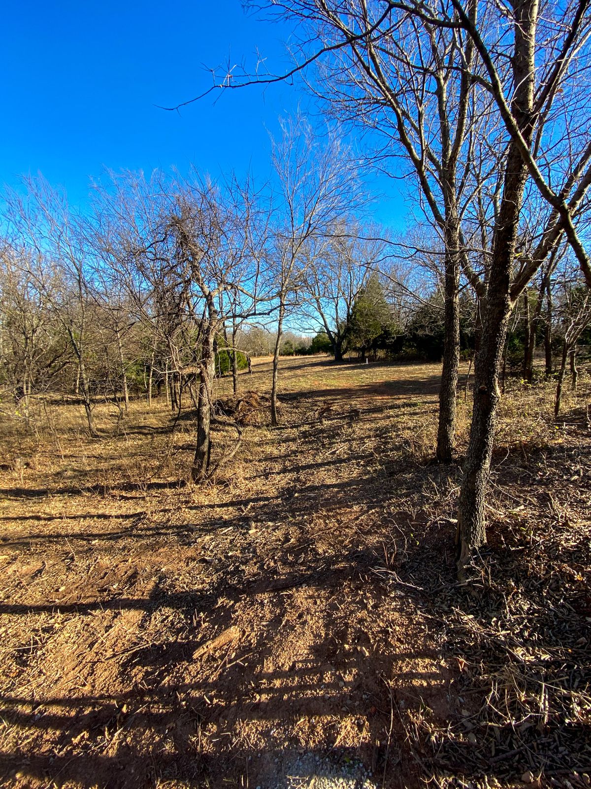 #17 green looking back down fairway to creek crossing