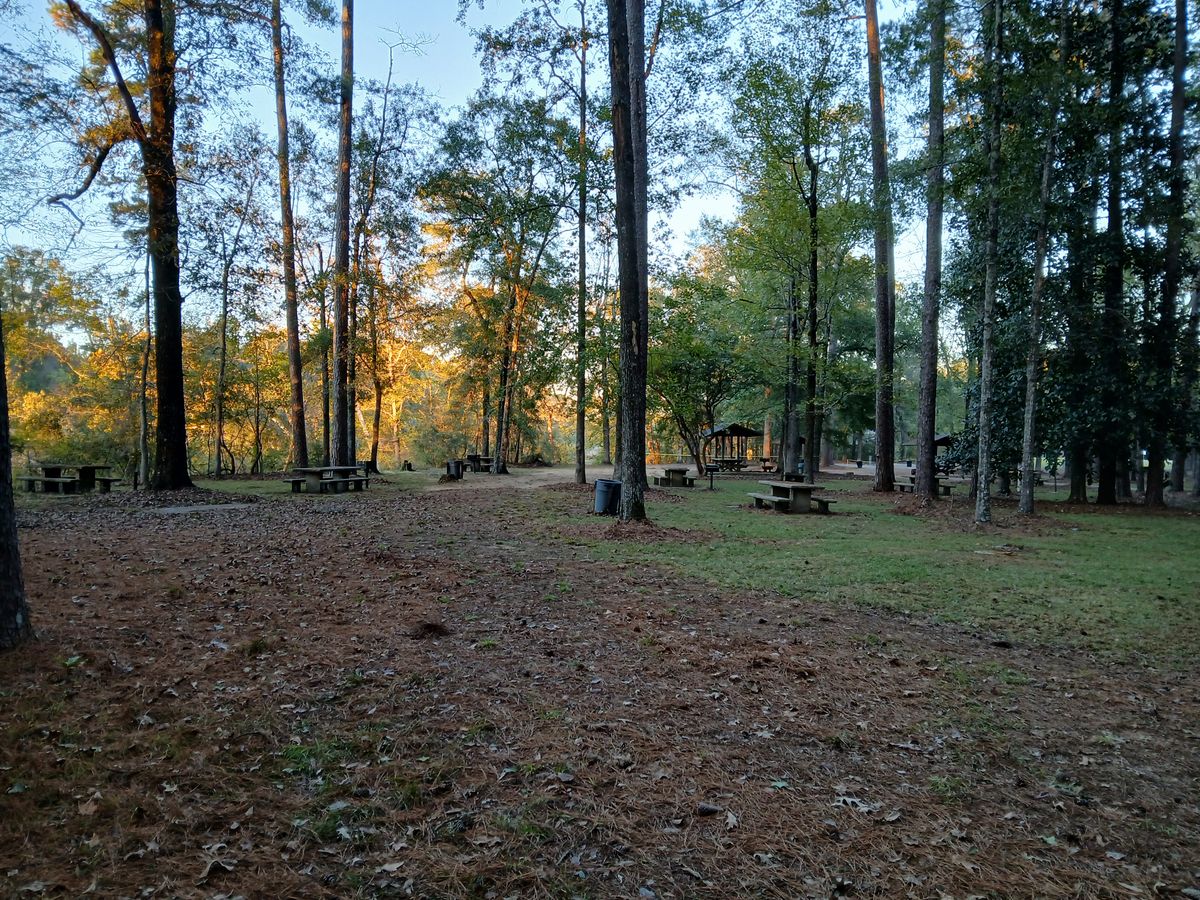 Camping and day use area near hole 8