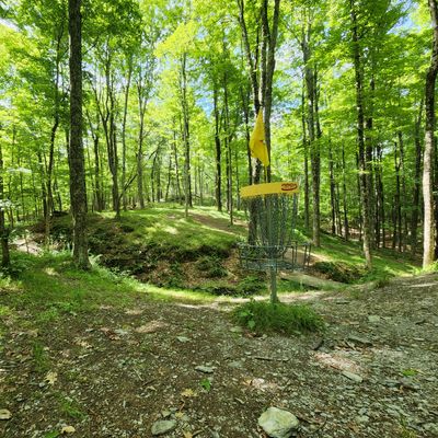 Well thought out basket placements with challenging greens