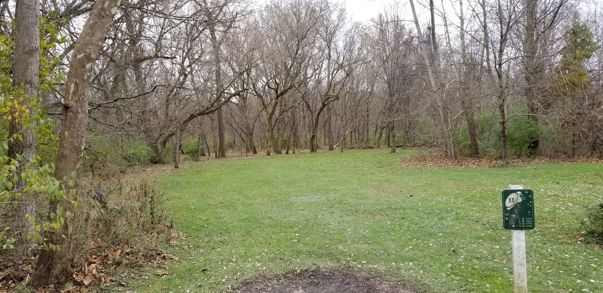 Hole 11