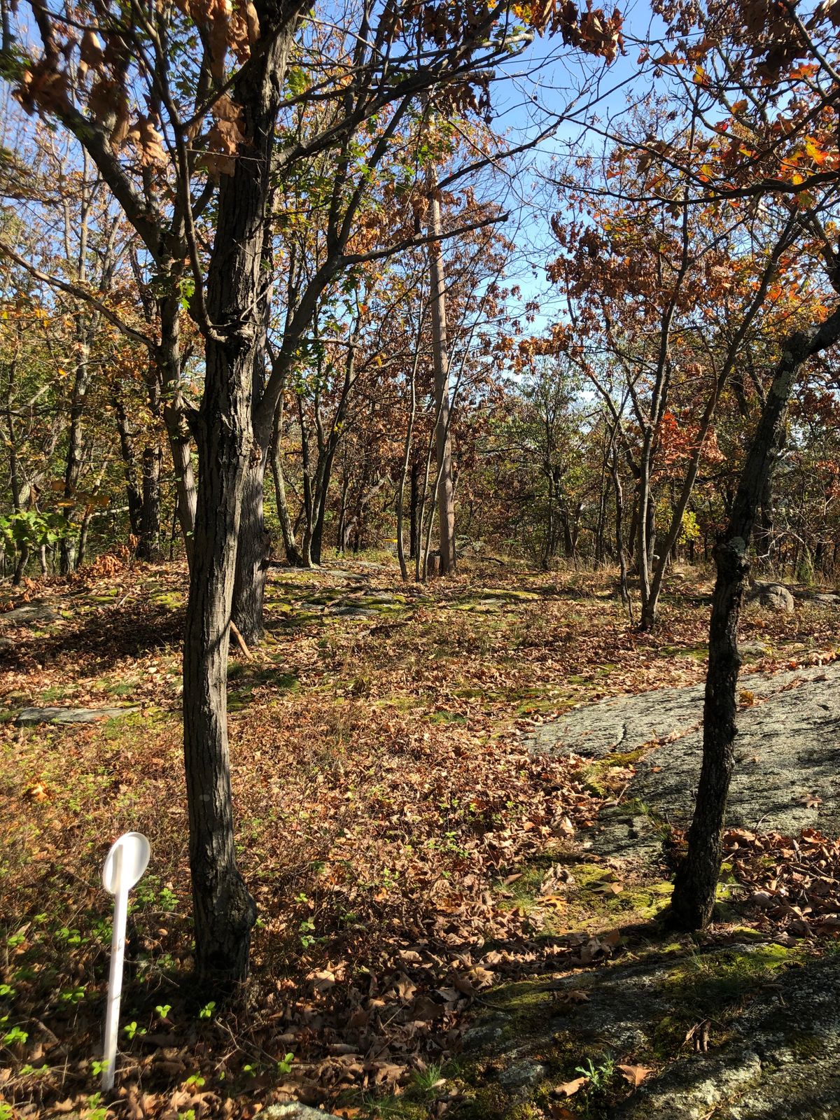 Hole #4 (129’)