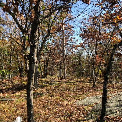 Hole #4 (129’)