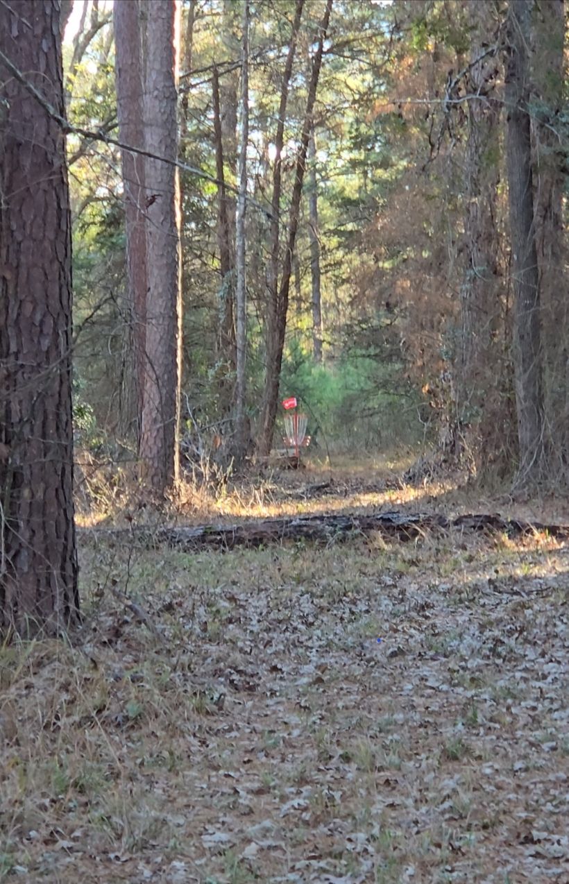 Hole 11