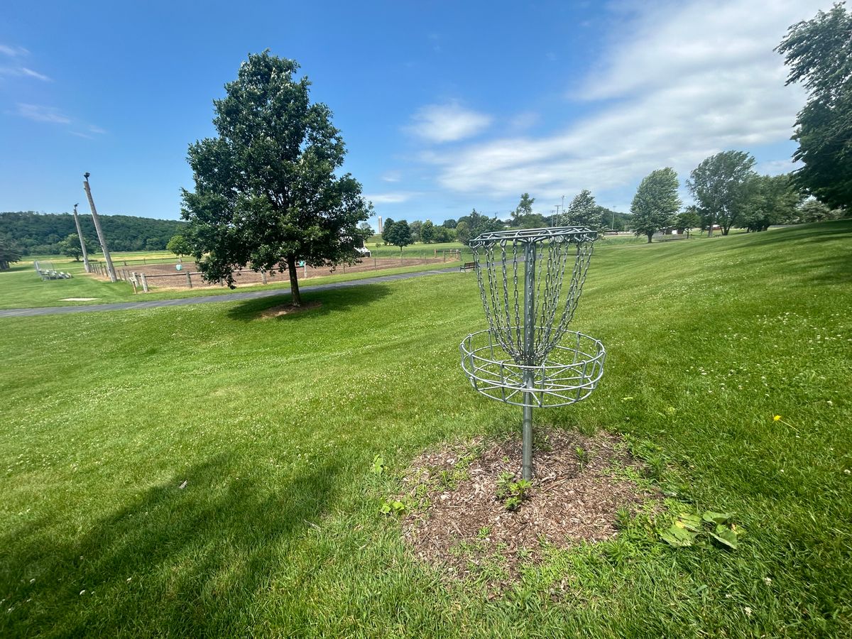 Hole 8 basket