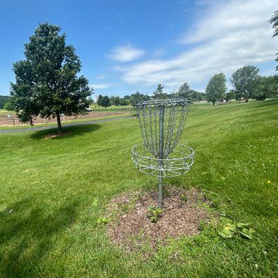 Hole 8 basket