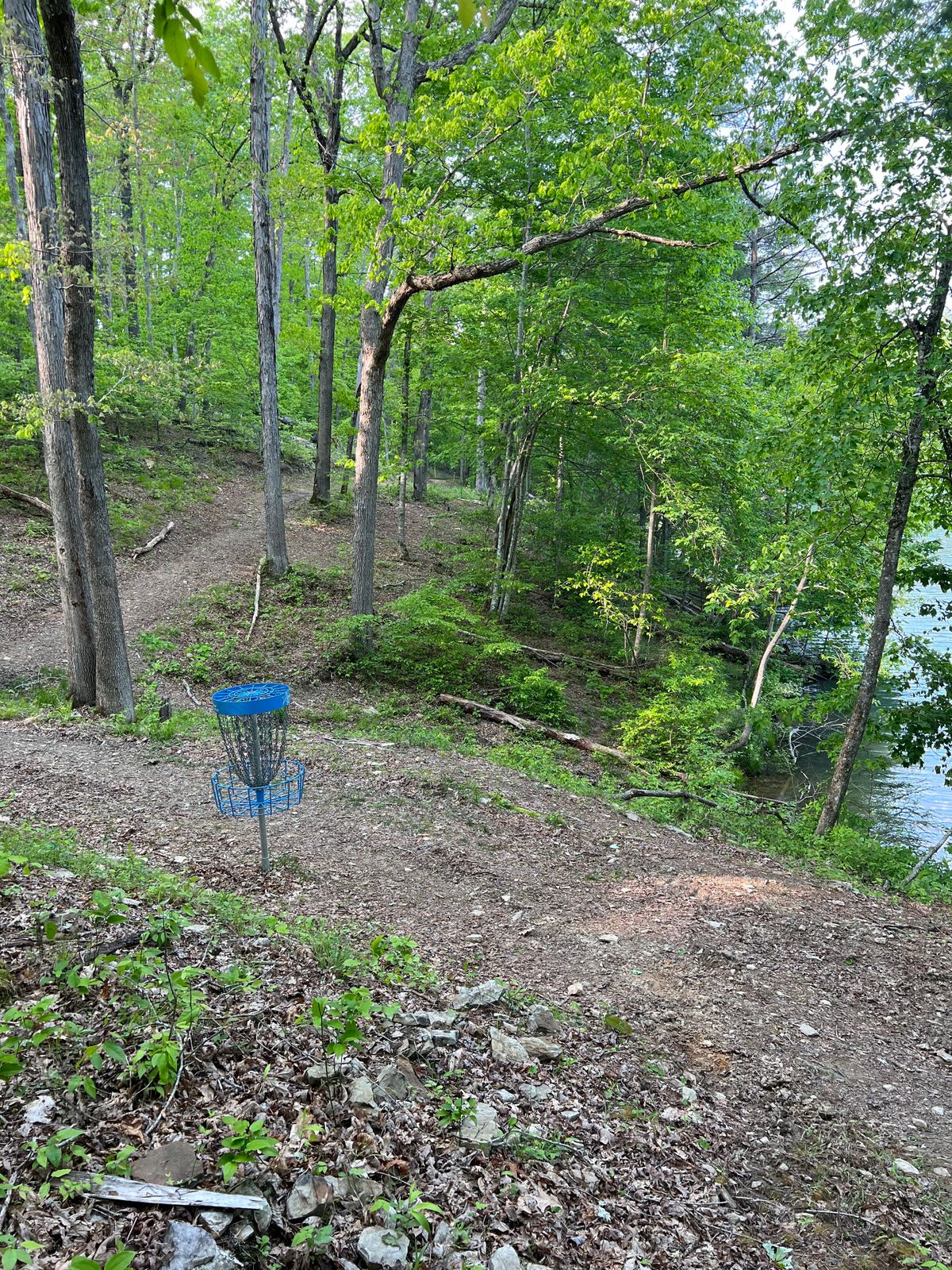 Hole 14 Basket to Tee