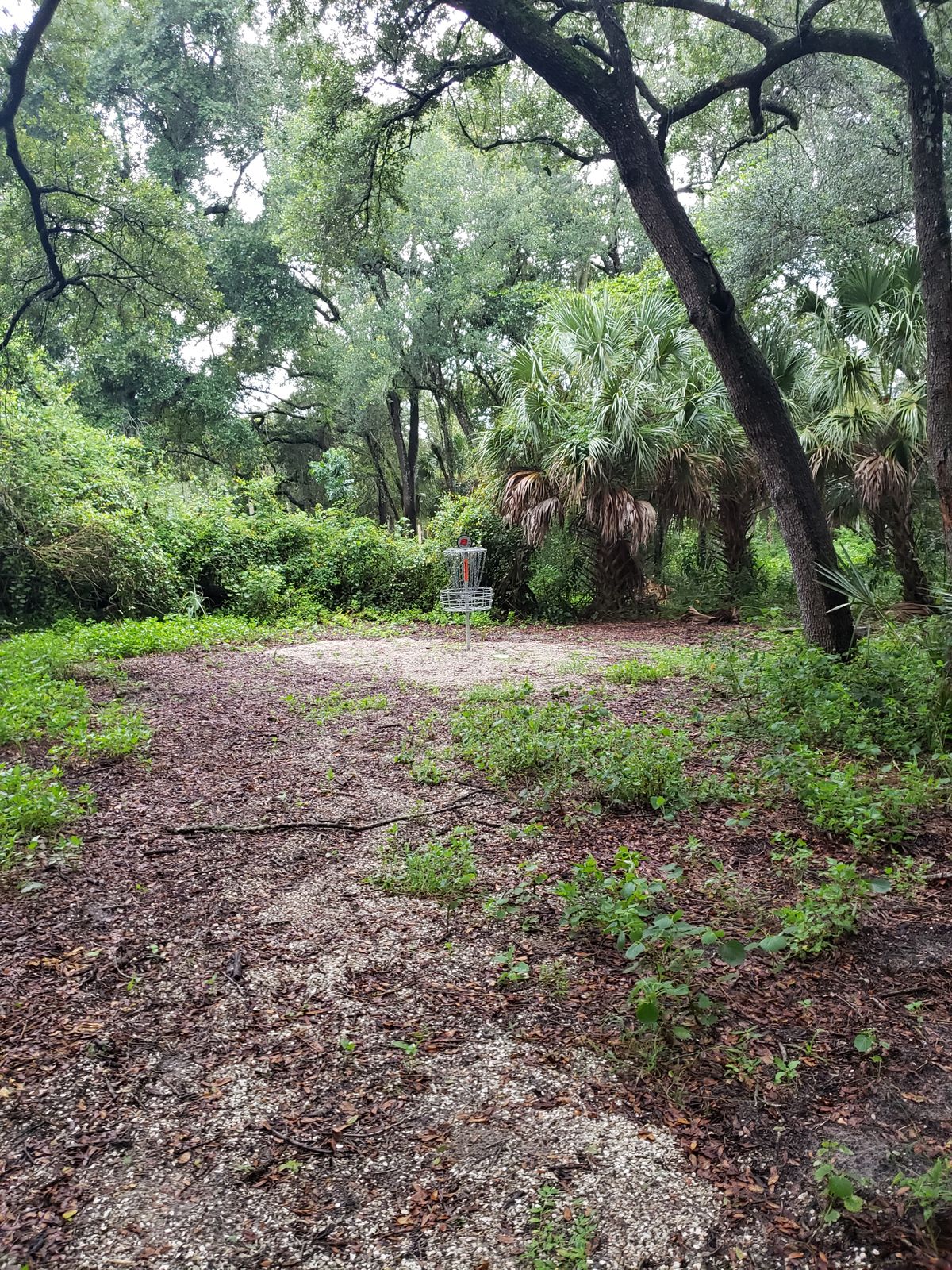 Hole 8 circle