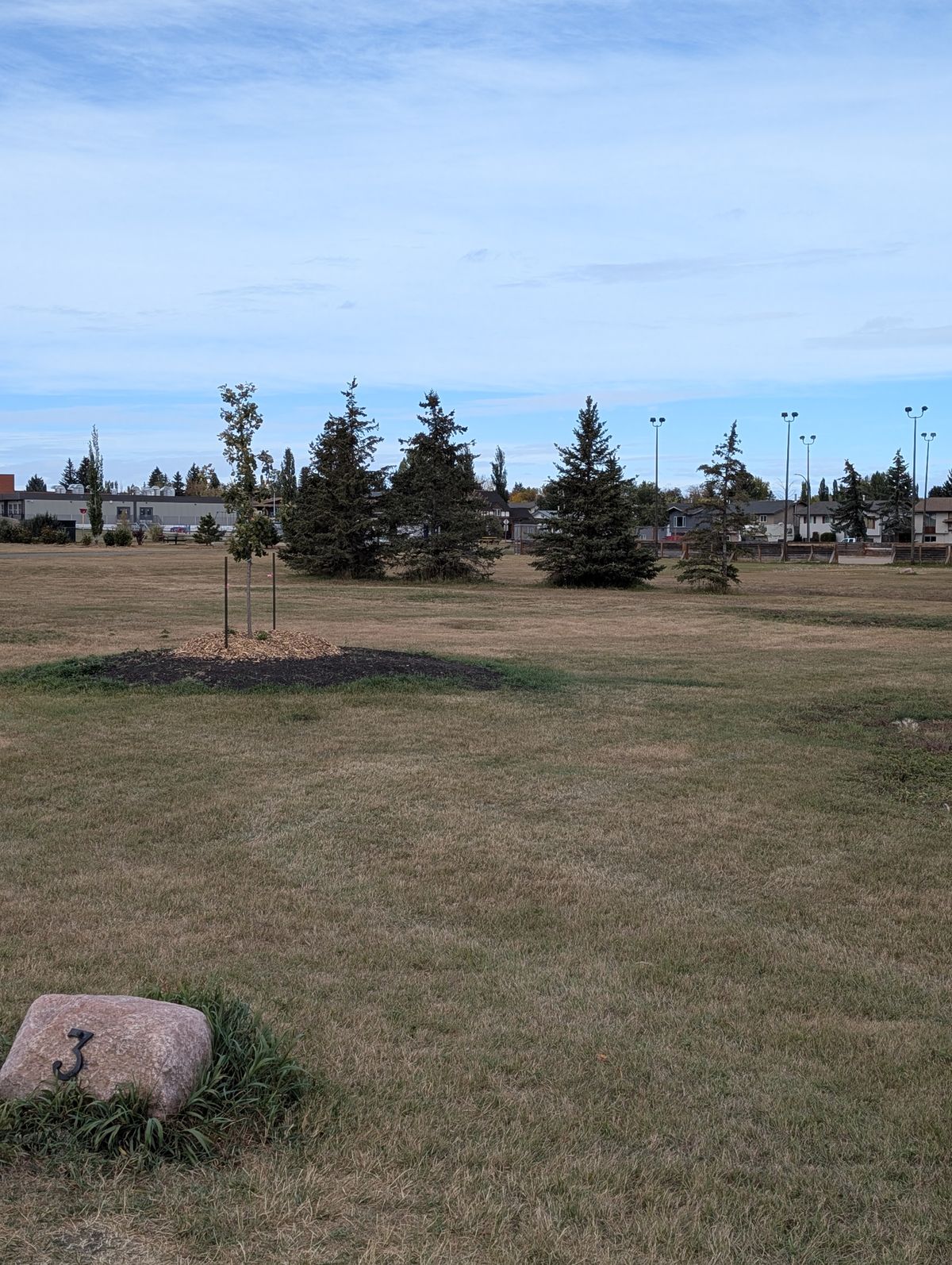 Hole 3. Basket is hidden behind the 2nd evergreen from the left.