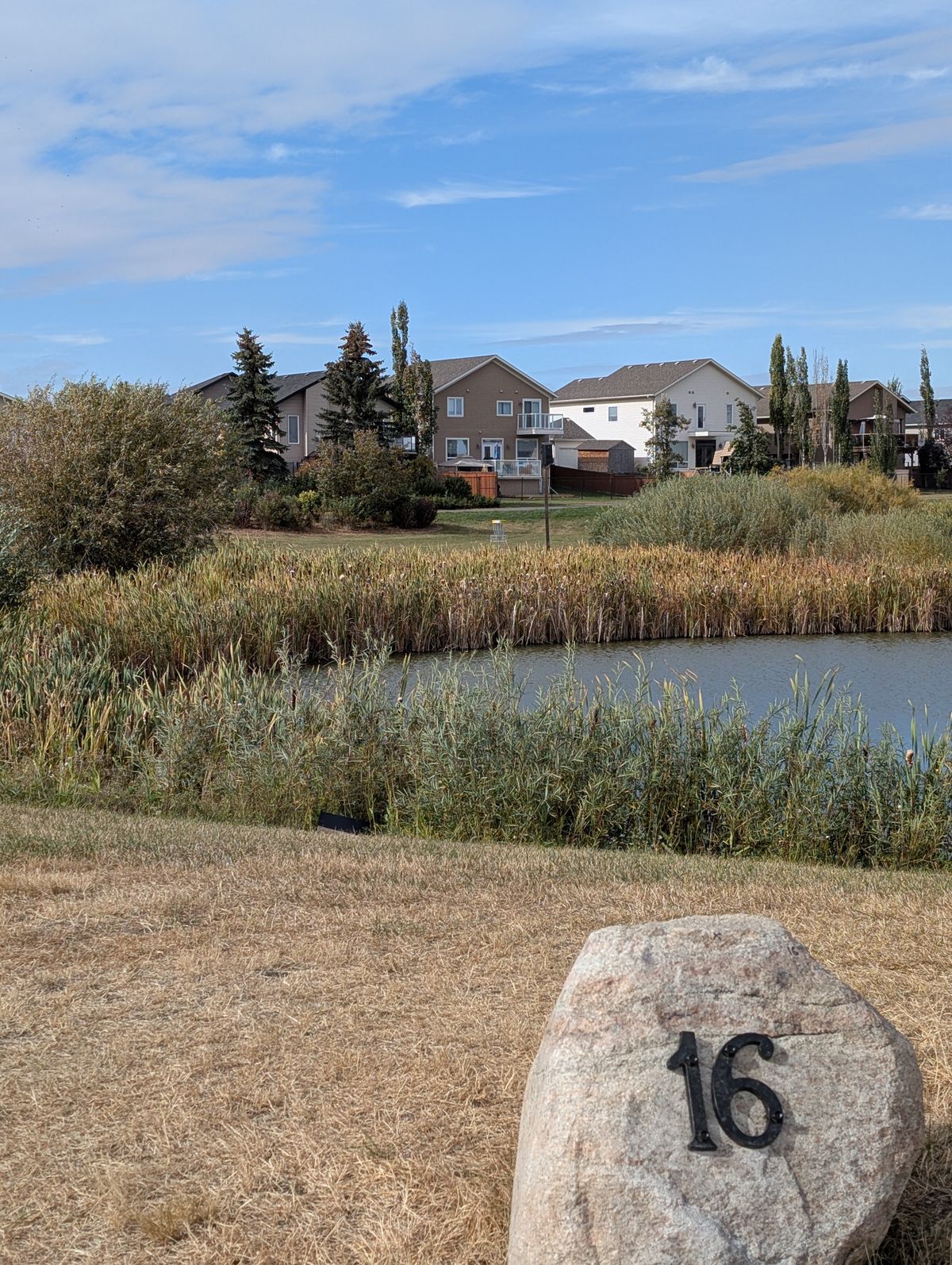 Hole 16. The safer play is to throw around to the water to the left. However, if you're feeling adventurous...