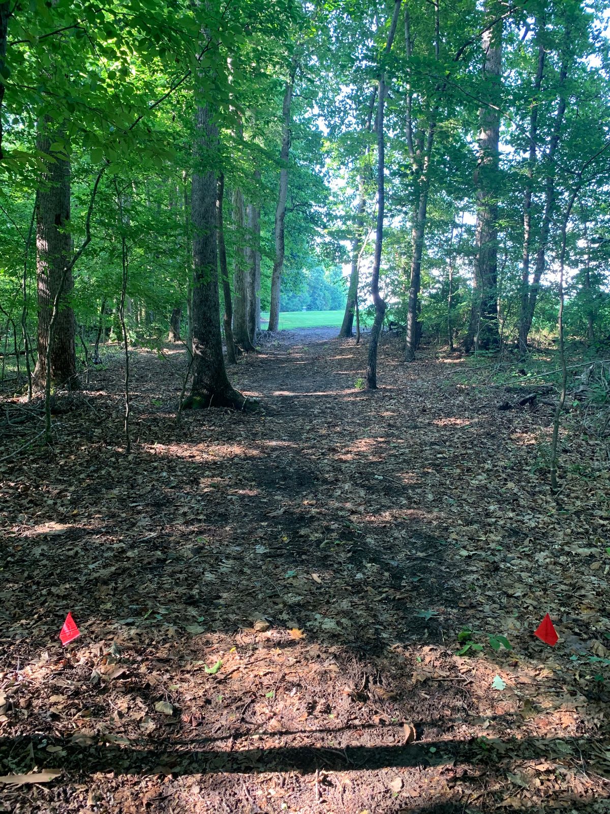Hole 4 Red Tee. 