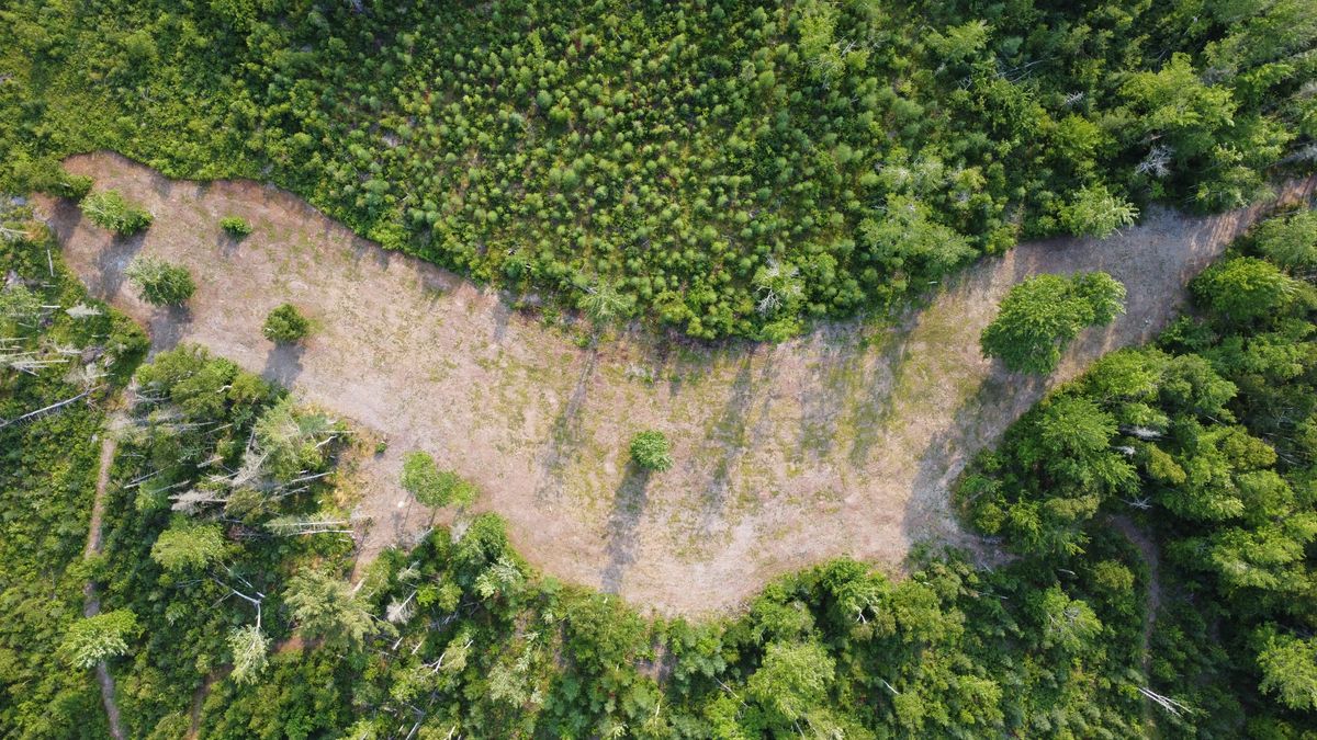 Overhead view of hole 4.