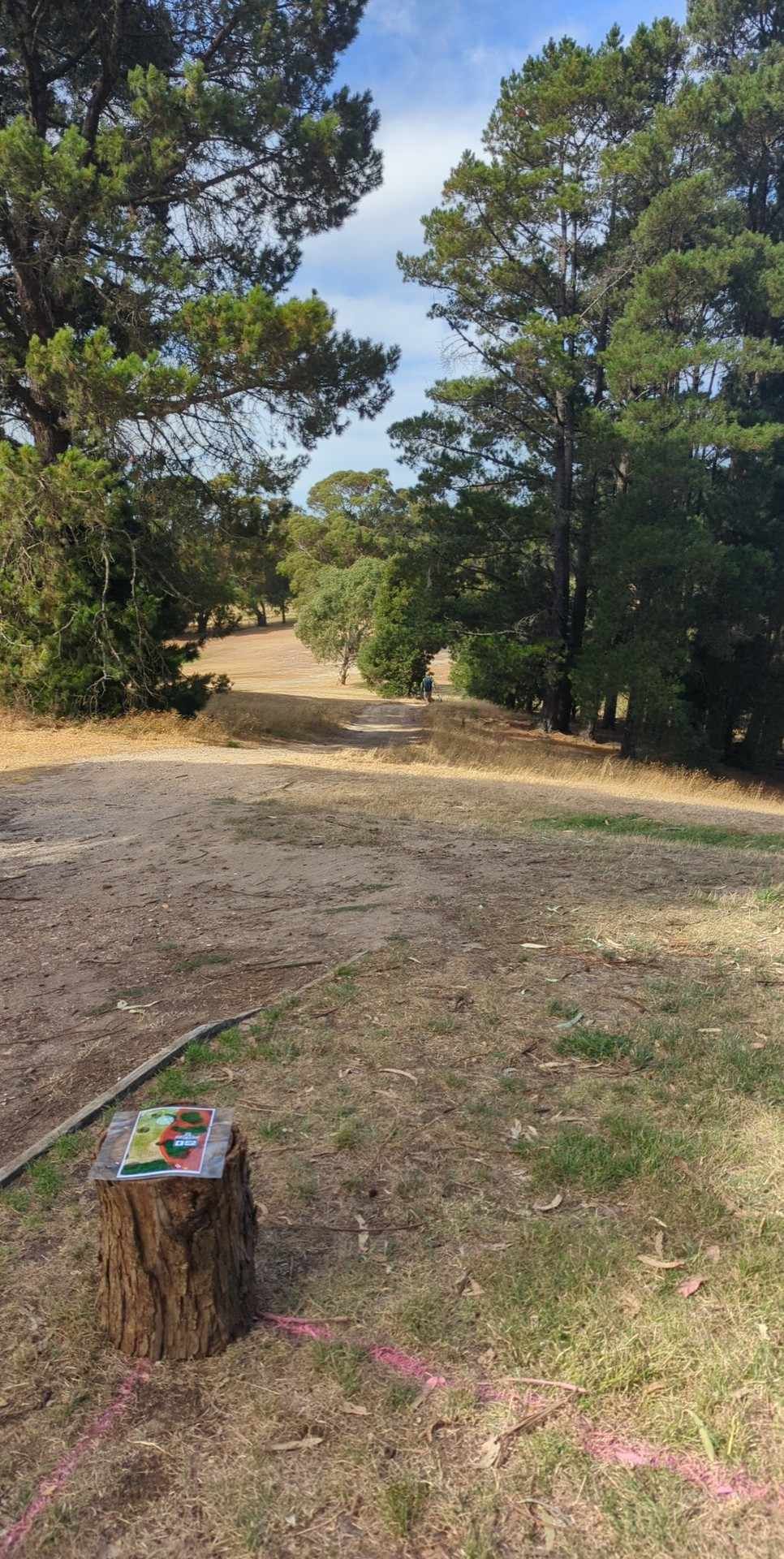 Hole 17 from the teepad