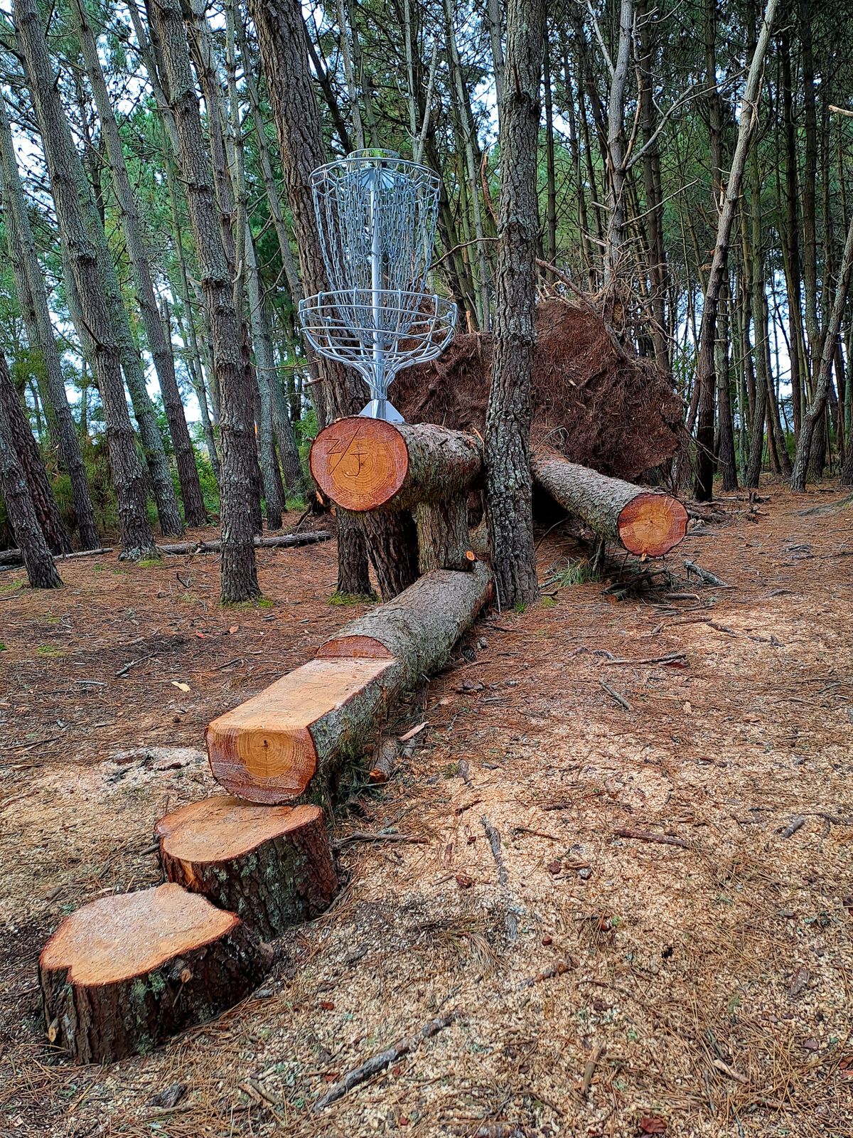 Cyclone Gabrielle ripped through Spa Park in Feb 2023. The slightly elevated basket now sits on one of the holes fallen giants. 