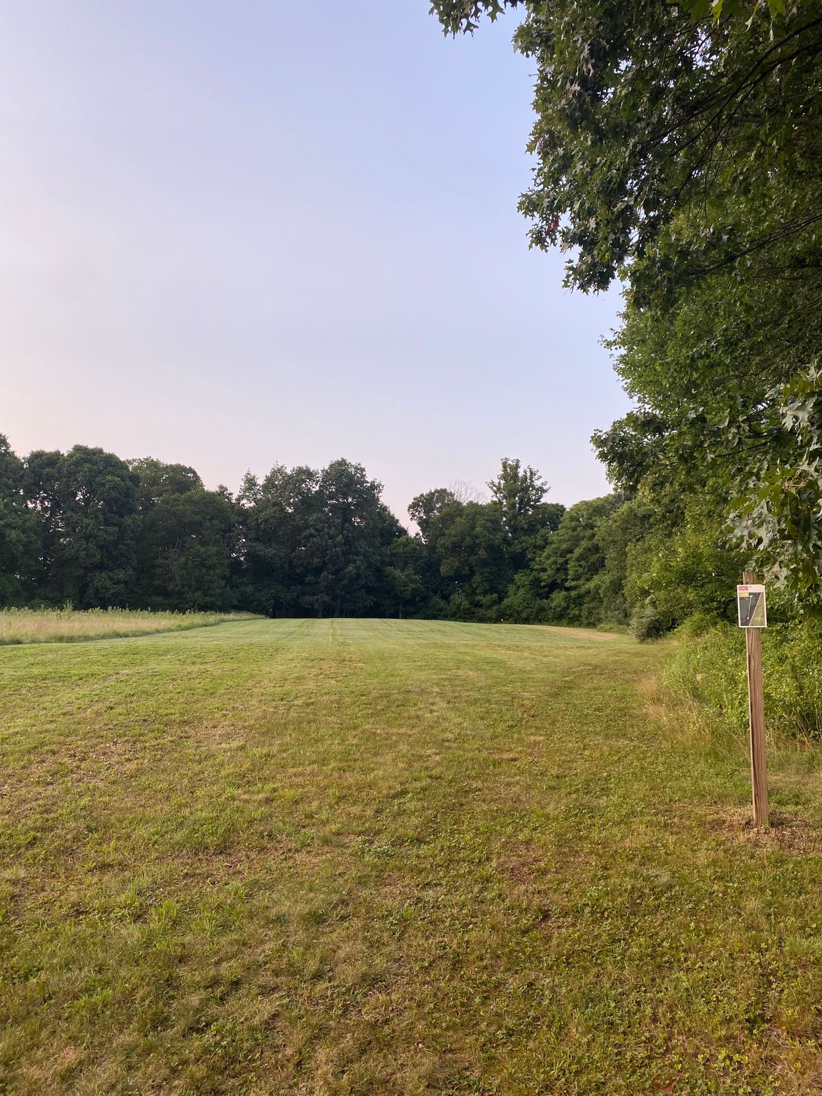 Hole 15 tee