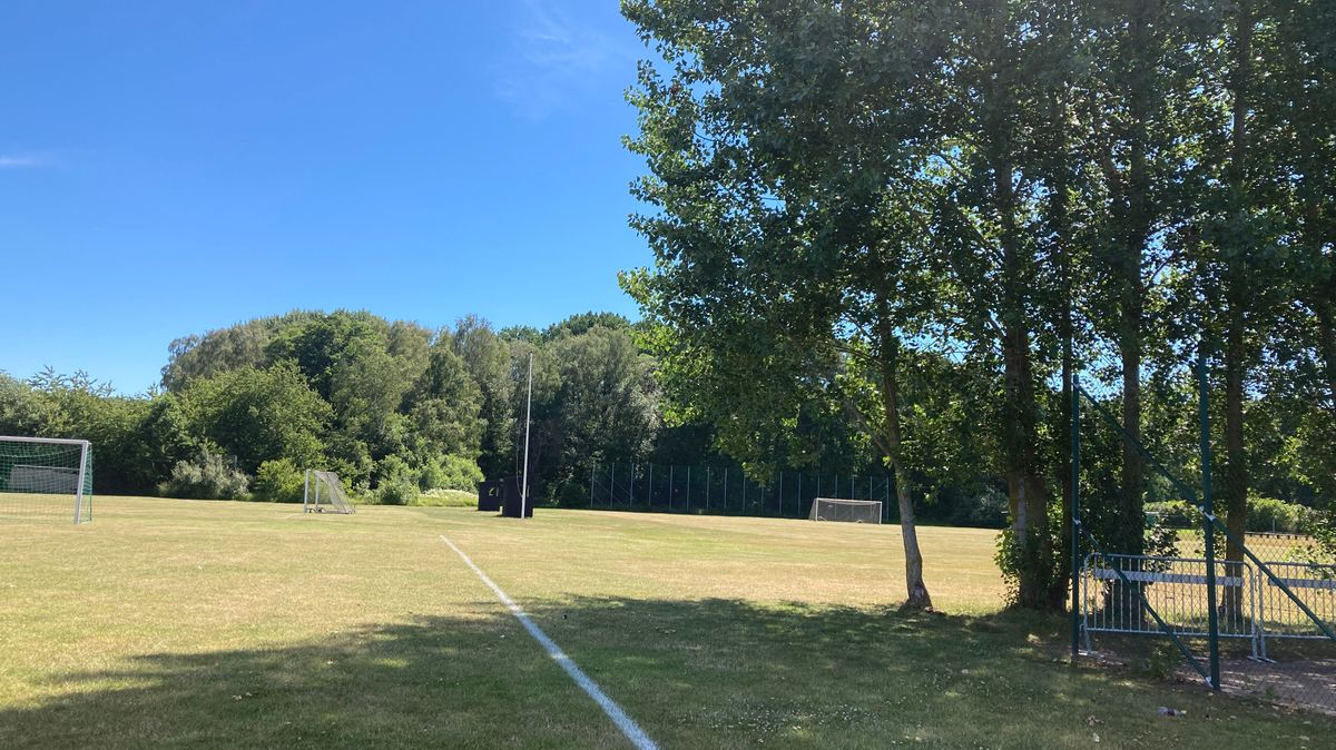 Tee 4