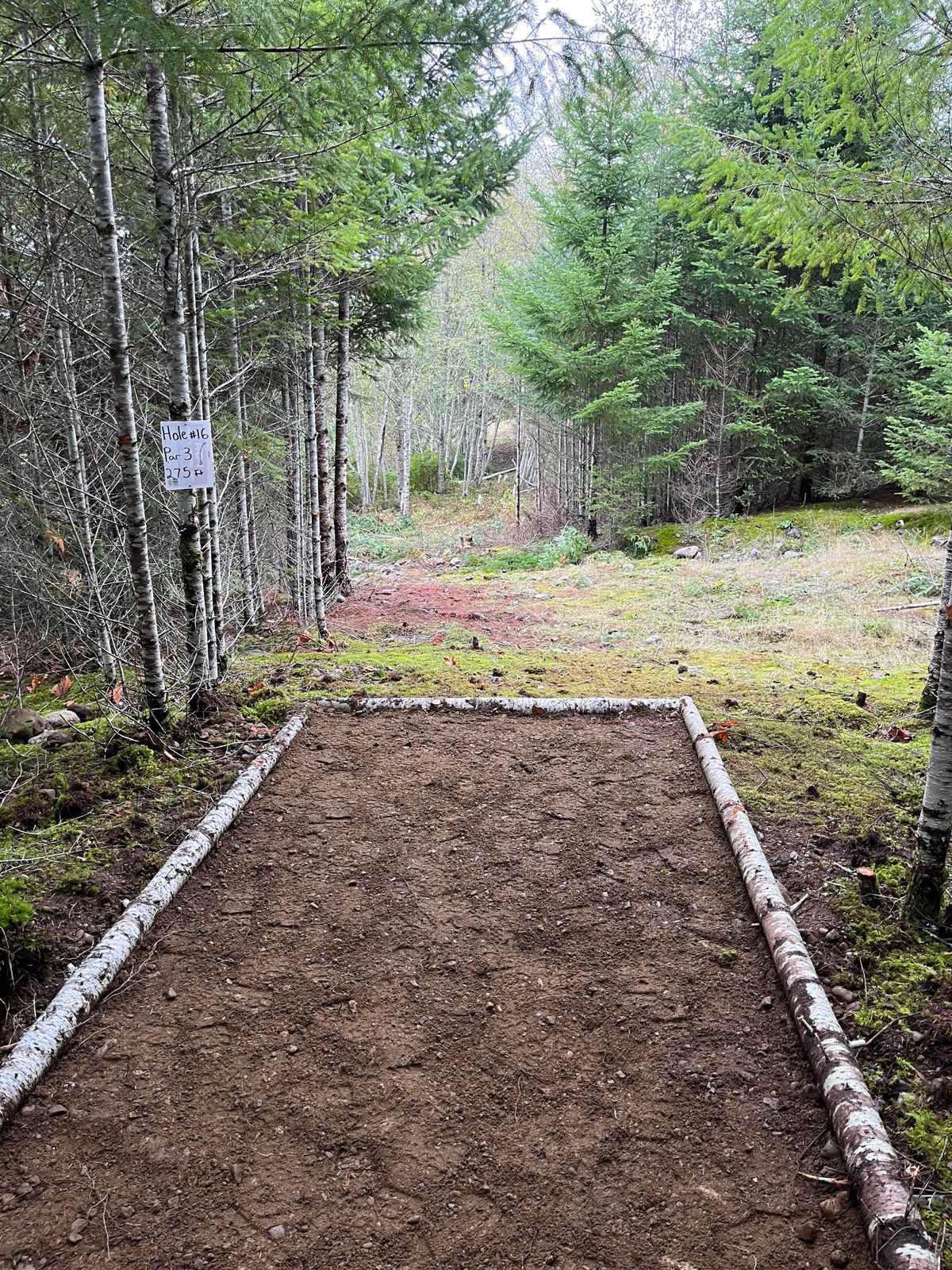 New hole #16 tee pad
