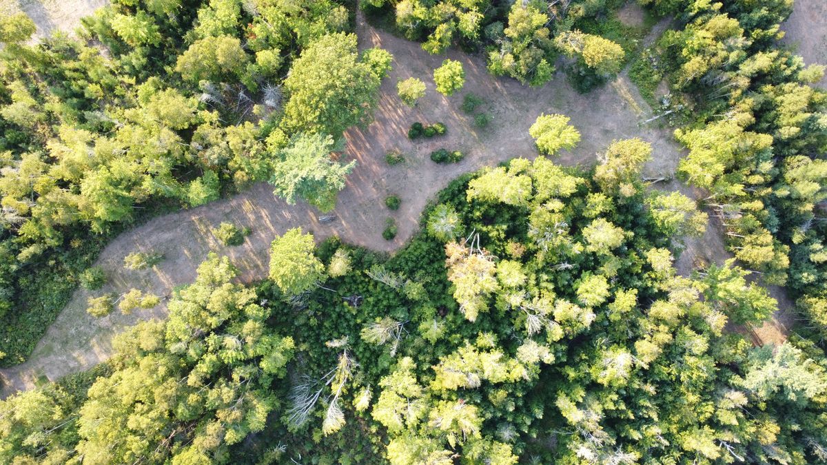 Hole 5 from above.