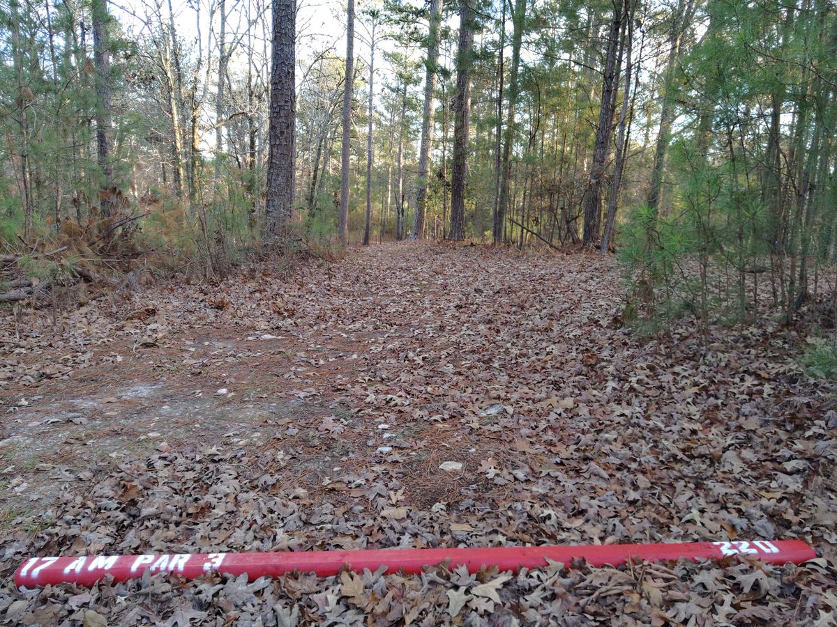 Hole 17 Amateur Tee