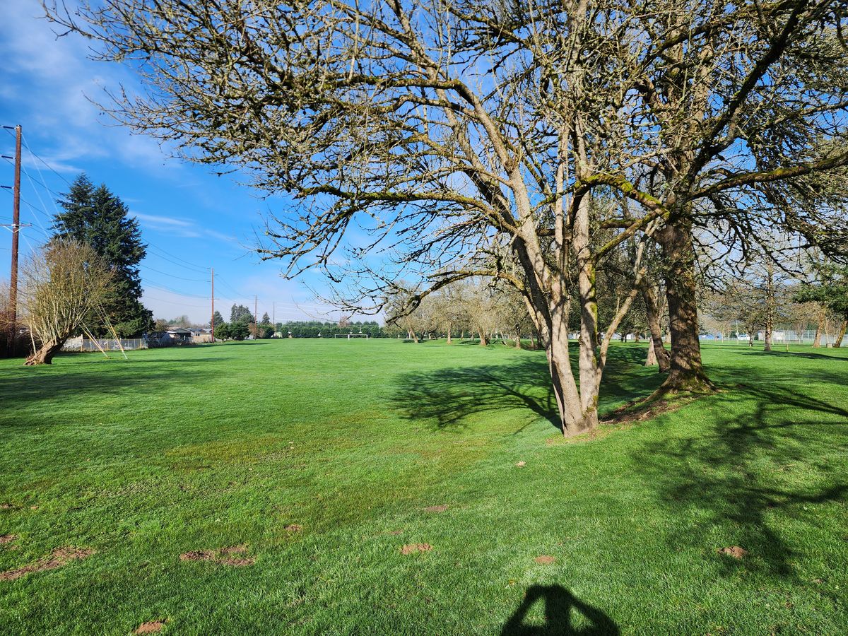 Looking west from hole #8.