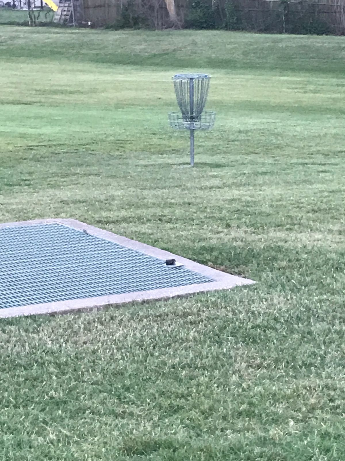 Hole 6 basket