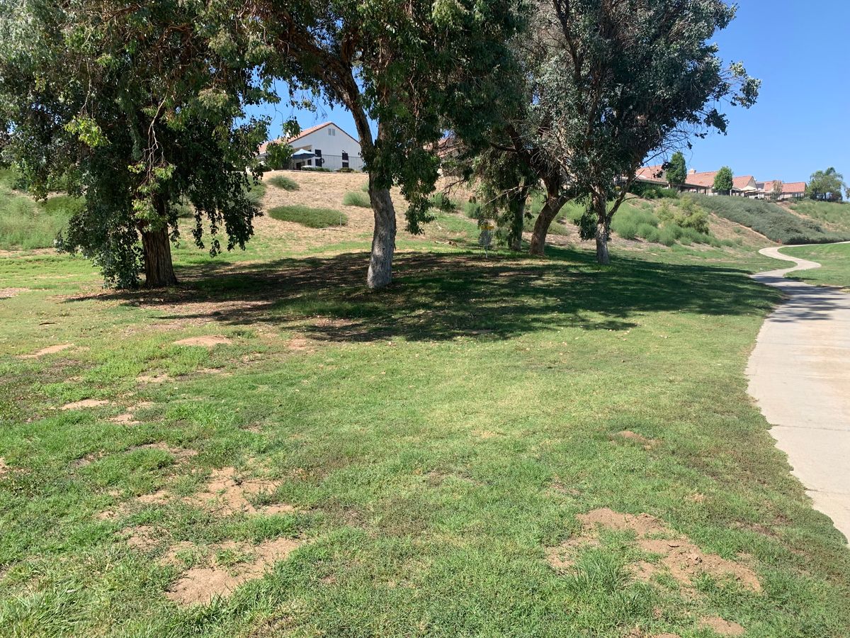 Omega Hole 8