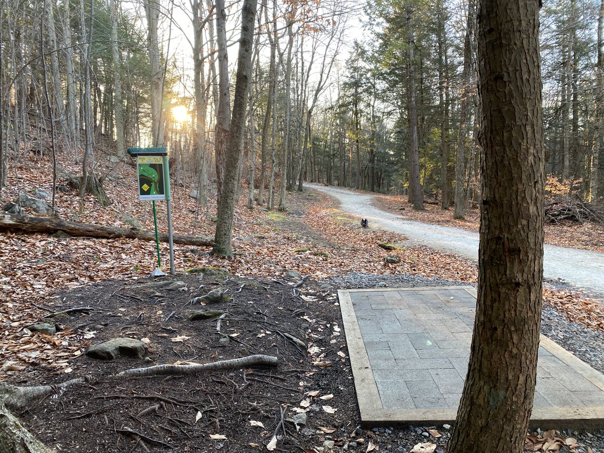 Tee pad 5