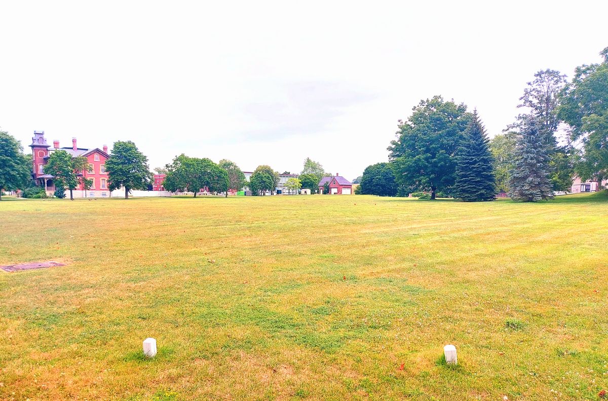 White tee pad 9.