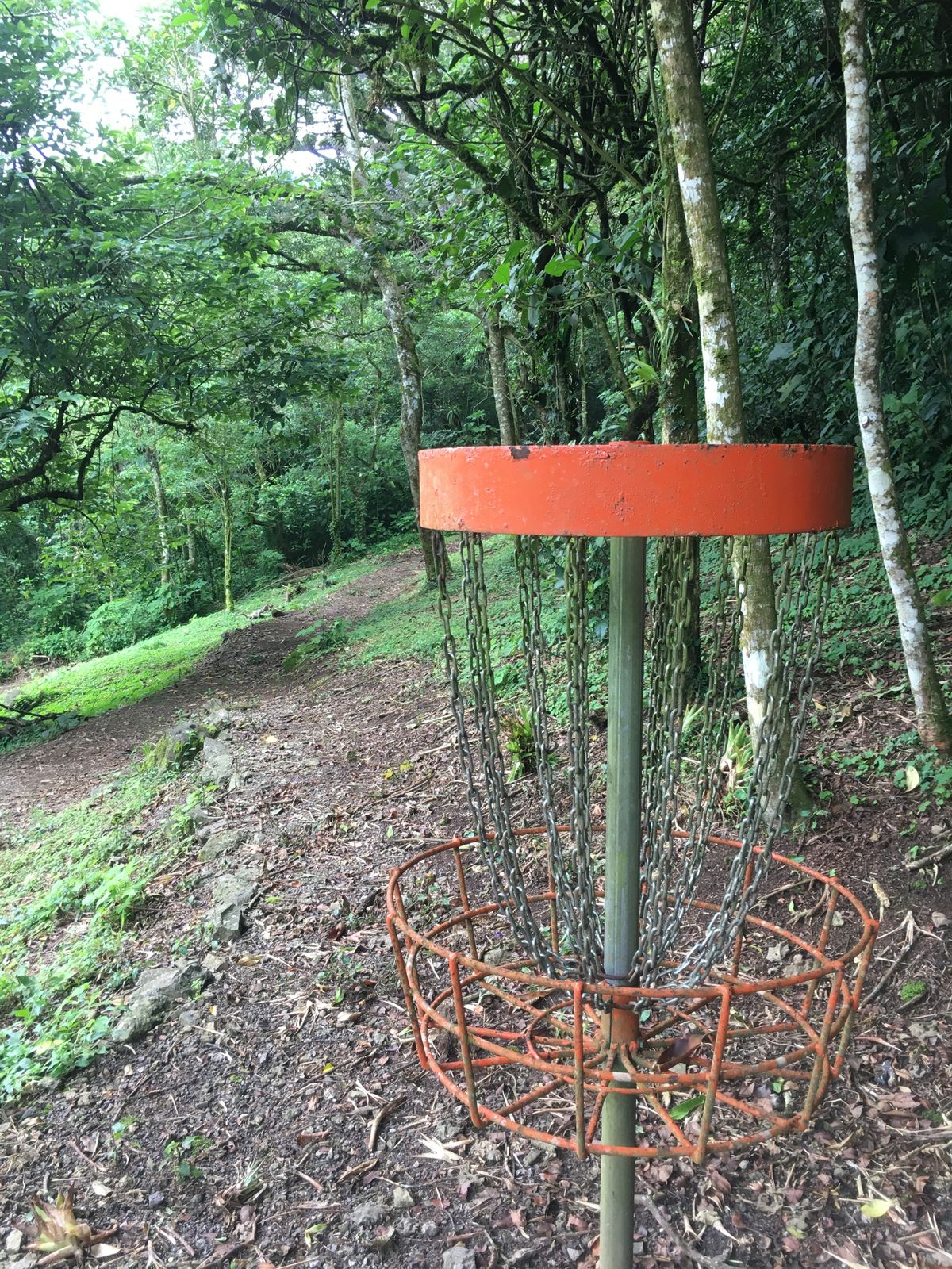 Hole 4 Basket to Tee