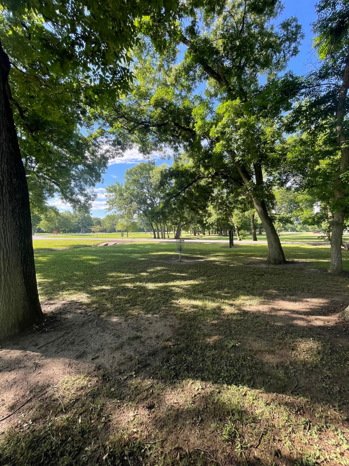 Hole 7 basket