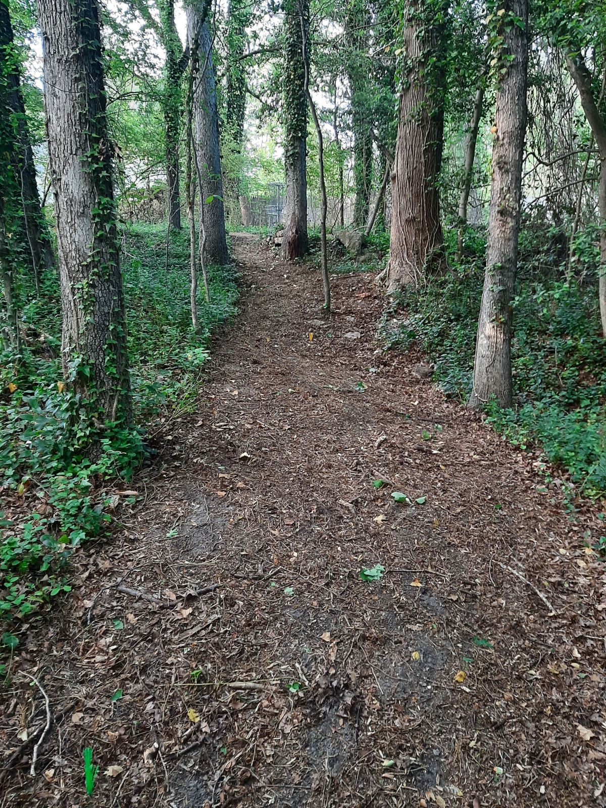 Hole 18 Red Tee
