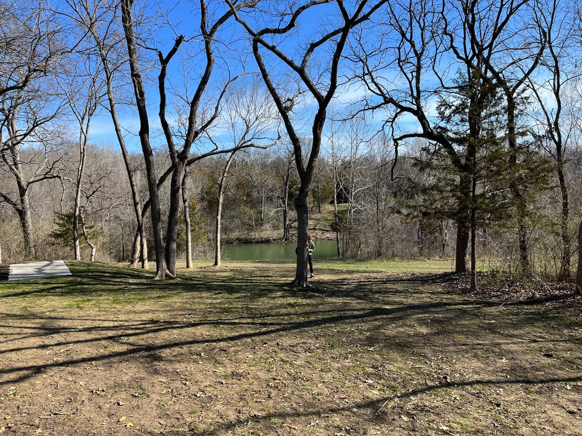 Hole 18 looking back at tee