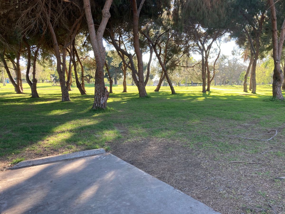 Hole #23