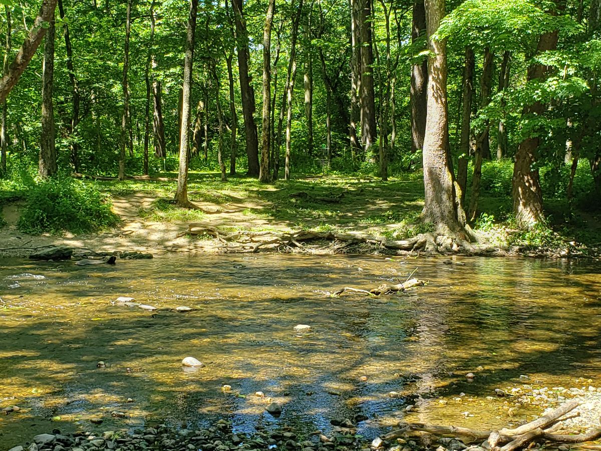 Hole 18, approaching the green