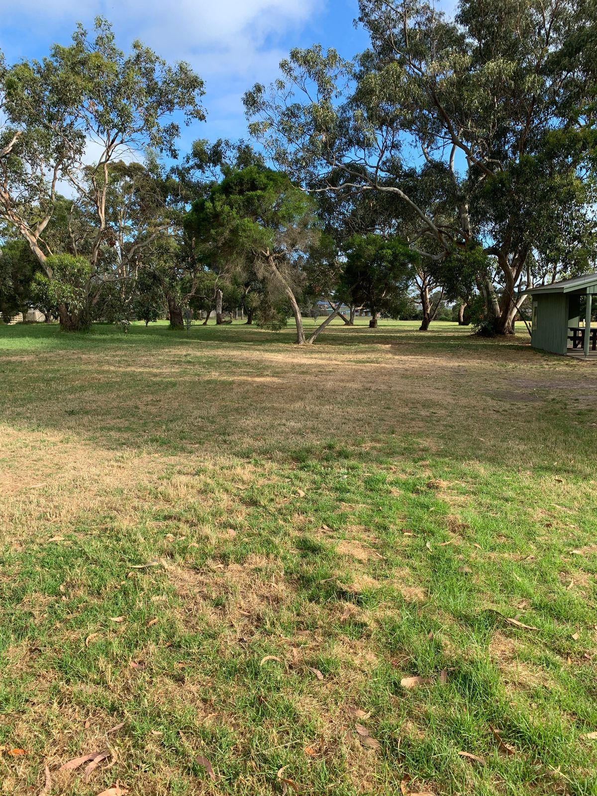 Back 9 Tee 4
