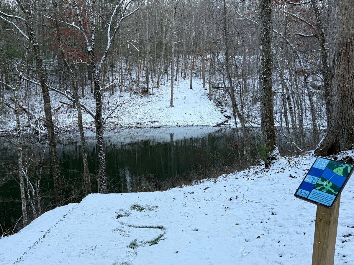 Hole 15 tee pad