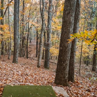 Tee Pad
