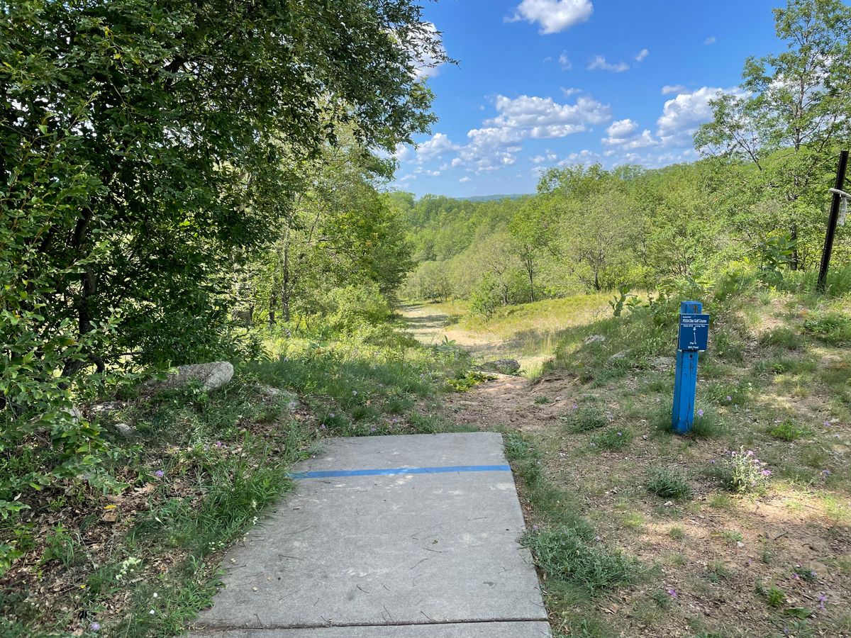 A little bit tall grass on left side. If the disc fade in after the shot tee, it is hard to find.