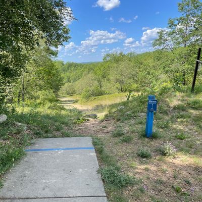 A little bit tall grass on left side. If the disc fade in after the shot tee, it is hard to find.
