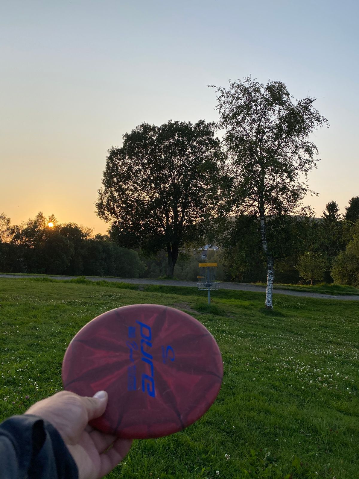 Basket 11 in the sunset