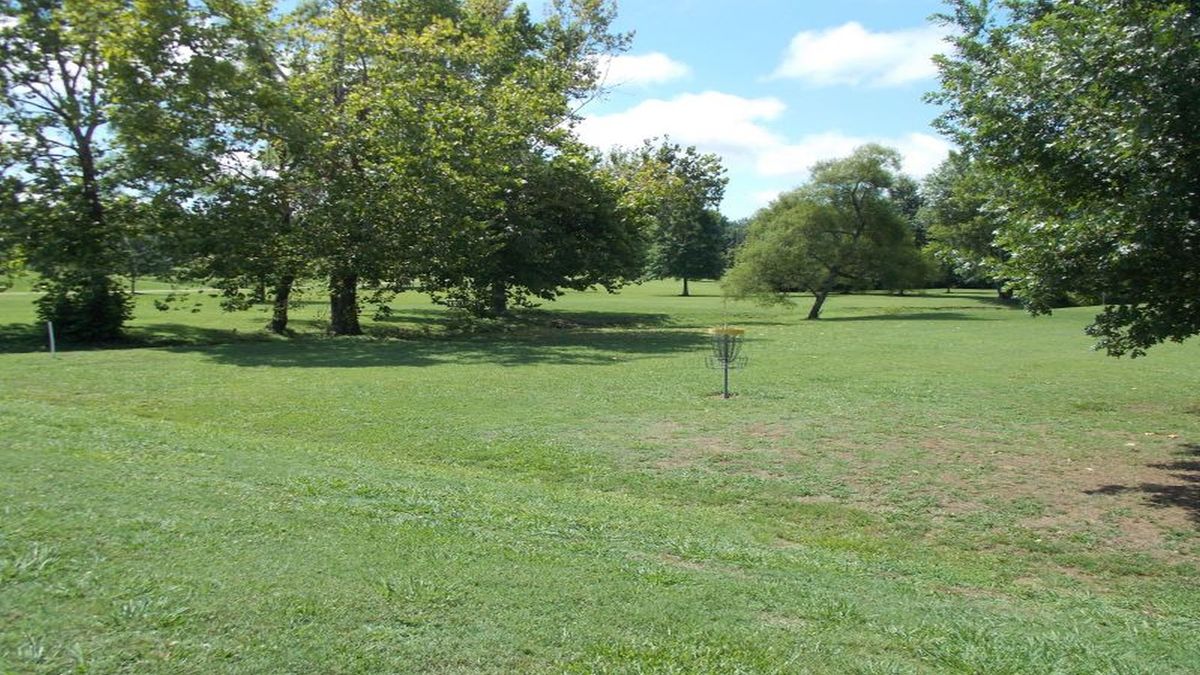 Hole 10 basket