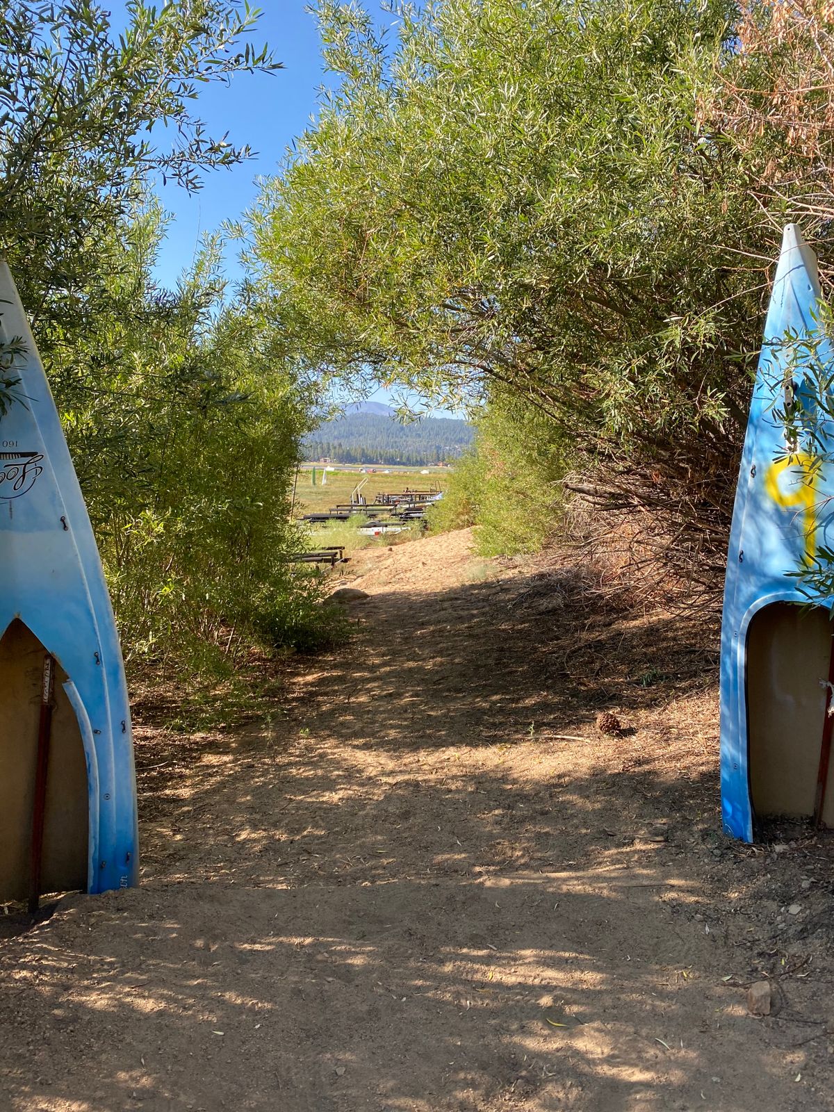 Hole 5