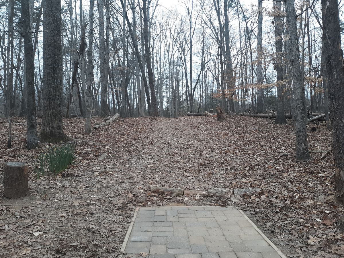 Hole 6