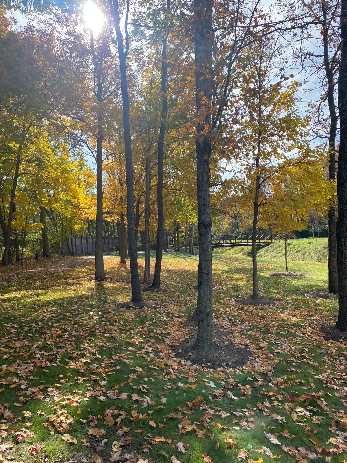 Hole 2